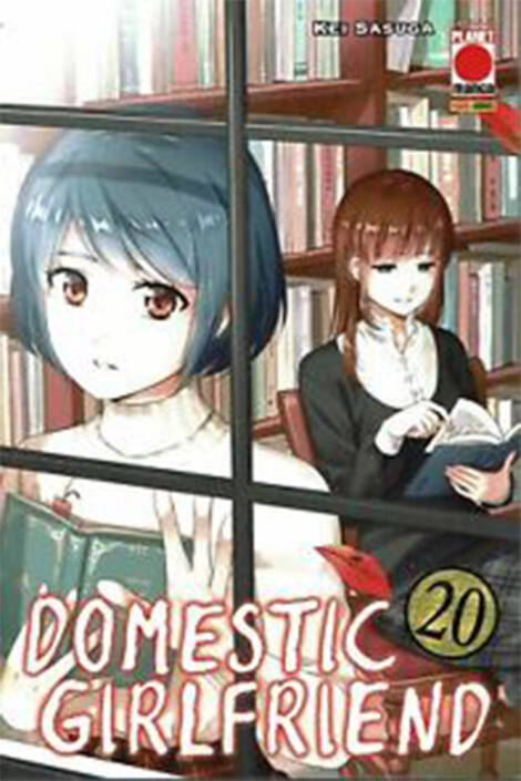 Domestic Girlfriend 20