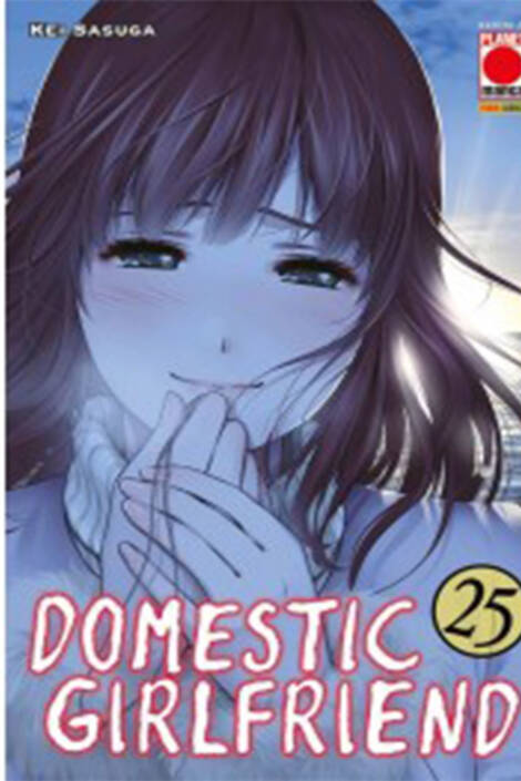 Domestic Girlfriend 25