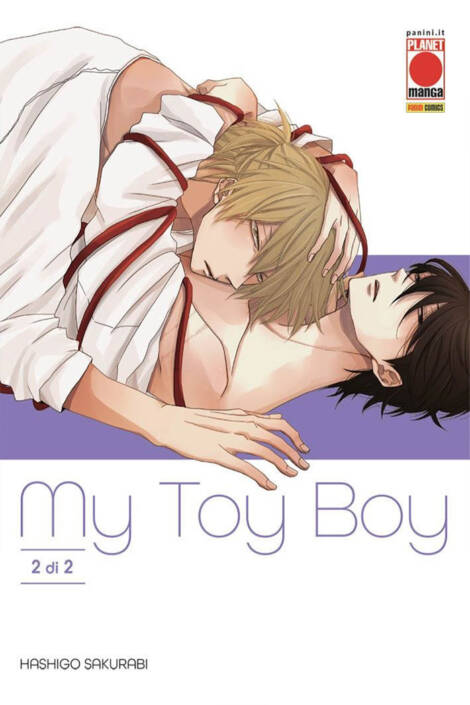 My toy boy 2