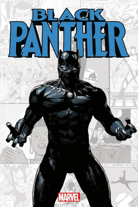 Marvel-verse - Black Panther