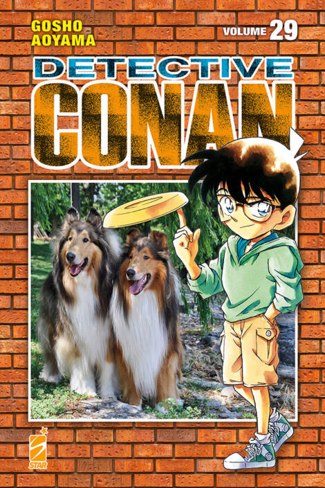 Detective Conan - New edition 29