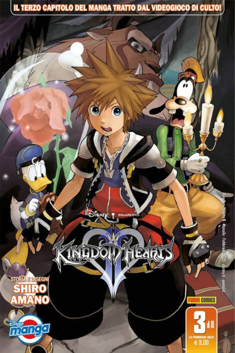 Kingdom hearts II - Silver edition 03