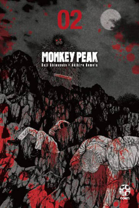 Monkey peak 2