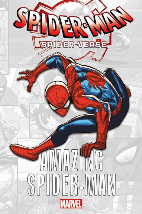 Marvel-verse - Spider-verse: Amazing Spider-man