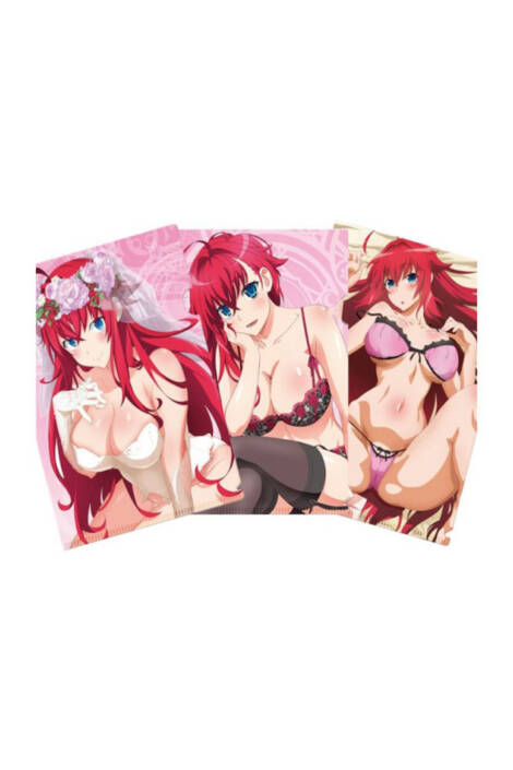 High School DxD Hero - Set 3 portadocumenti Rias Gremory