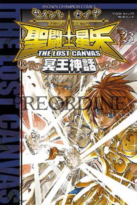 I cavalieri dello zodiaco: Saint Seiya - The lost canvas 23